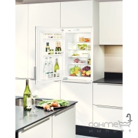Встраиваемый малогабаритный холодильник Liebherr EK 1610 Comfort (А++)