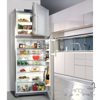 Двокамерний холодильник із верхньою морозилкою Liebherr CTNes 4753 Premium NoFrost (А+) сріблястий
