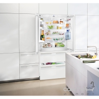Вбудований холодильник-морозильник Liebherr ECBN 6256 Premium Plus BioFresh NoFrost Door-on-Door